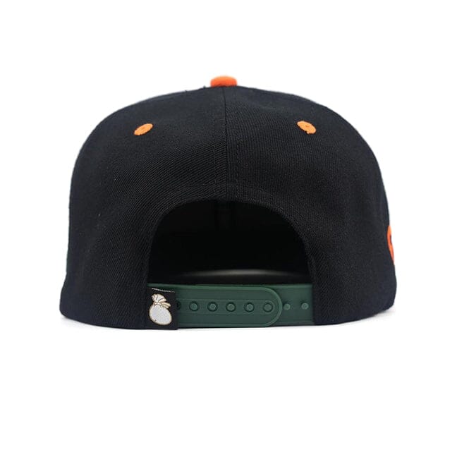 
                  
                    Fly By Instinct - Black Snapback Cap
                  
                